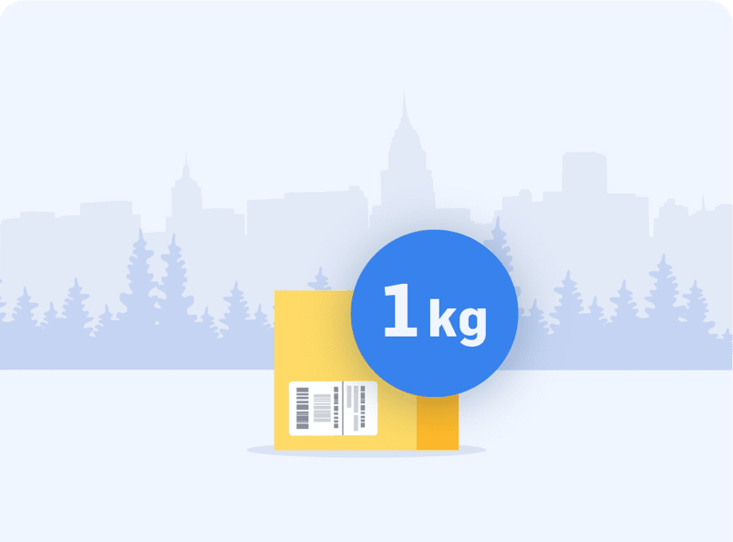 Skicka paket 1 kg
