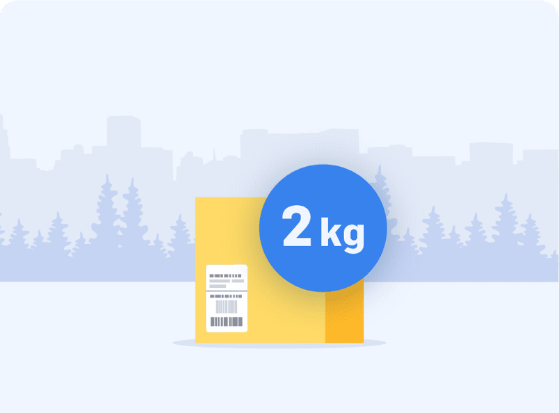 Skicka paket 2 kg