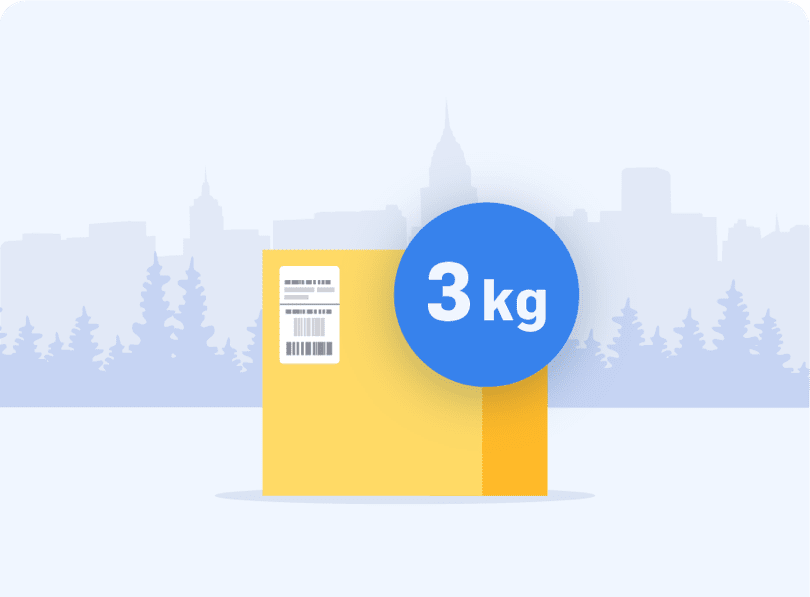Skicka paket 3 kg