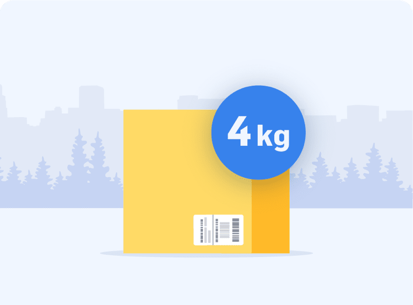 Send parcel 4 kg