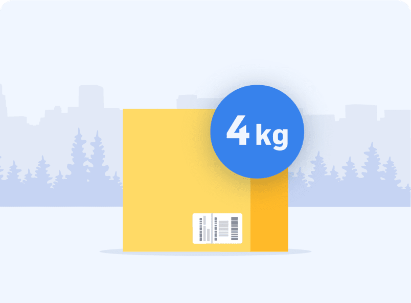 Skicka paket 4 kg